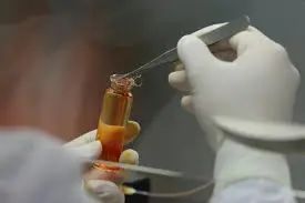细胞培养肉：在实验室里“种肉”-新华网